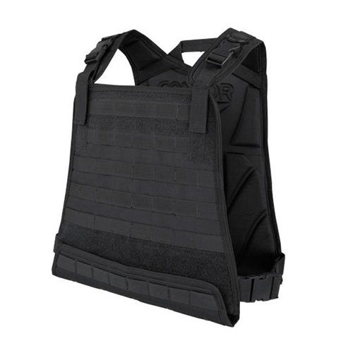 Compact Plate Carrier