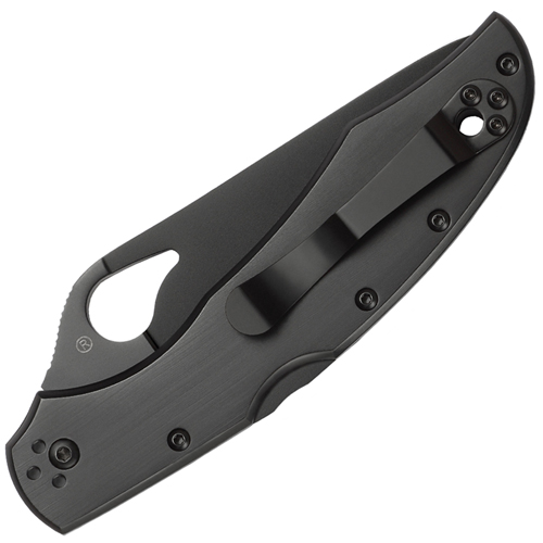 Spyderco Byrd Cara Cara 2 Folding Knife