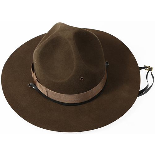 Military Campaign Hat