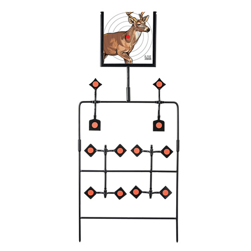 Multishot Target Swing Set